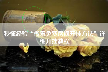 秒懂经验“微乐免费房间开挂方法”详细开挂教程