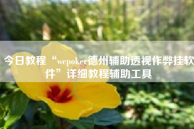 今日教程“wepoker德州辅助透视作弊挂软件”详细教程辅助工具