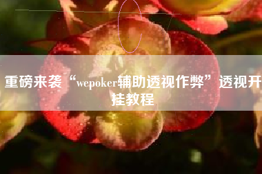 重磅来袭“wepoker辅助透视作弊”透视开挂教程