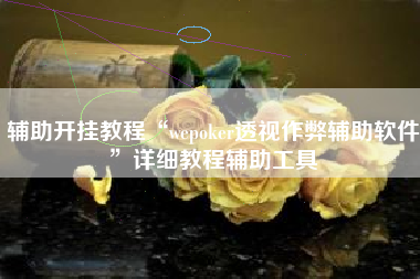辅助开挂教程“wepoker透视作弊辅助软件”详细教程辅助工具