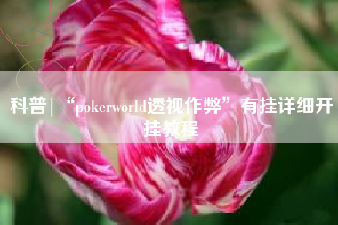 科普|“pokerworld透视作弊”有挂详细开挂教程