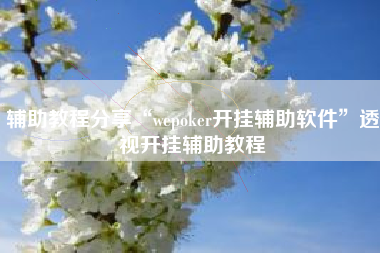 辅助教程分享“wepoker开挂辅助软件	”透视开挂辅助教程