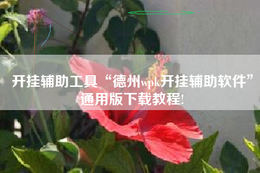 开挂辅助工具“德州wpk开挂辅助软件”通用版下载教程!