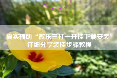 真实辅助“微乐三打一开挂下载安装	”详细分享装挂步骤教程