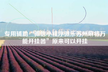 专用辅助“微信小程序微乐苏州麻将万能开挂器”原来可以开挂