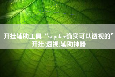 开挂辅助工具“wepoker确实可以透视的	”开挂(透视)辅助神器