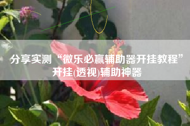 分享实测“微乐必赢辅助器开挂教程	”开挂(透视)辅助神器