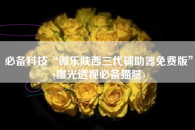 必备科技“微乐陕西三代辅助器免费版	”(曝光透视必备猫腻)