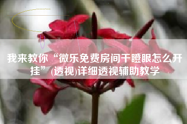 我来教你“微乐免费房间干瞪眼怎么开挂”(透视)详细透视辅助教学