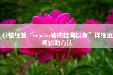 秒懂经验“wepoker辅助挂有没有”详细透视辅助方法