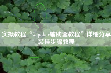 实操教程“wepoker辅助器教程”详细分享装挂步骤教程