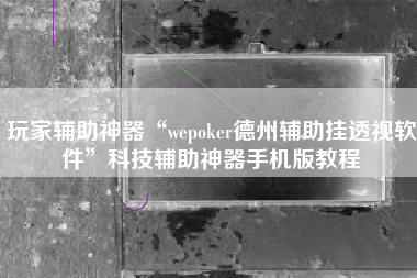 玩家辅助神器“wepoker德州辅助挂透视软件	”科技辅助神器手机版教程