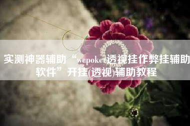 实测神器辅助“wepoker透视挂作弊挂辅助软件”开挂(透视)辅助教程
