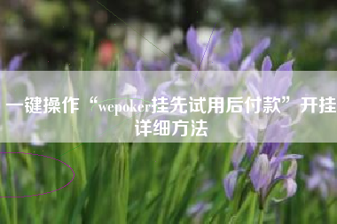 一键操作“wepoker挂先试用后付款”开挂详细方法