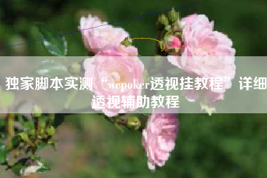 独家脚本实测“wepoker透视挂教程	”详细透视辅助教程