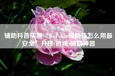 辅助科普实测“WePoker辅助挂怎么用最安全”开挂(透视)辅助神器