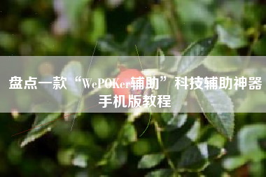 盘点一款“WePOKer辅助	”科技辅助神器手机版教程