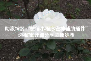 助赢神器“微信小程序雀神辅助插件	”透视挂!详细分享装挂步骤