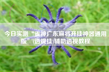 今日实测“雀神广东麻将开挂神器通用版”(透视挂)辅助透视教程