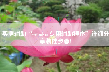 实测辅助“wepoker专用辅助程序	”详细分享装挂步骤!