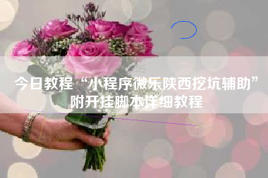 今日教程“小程序微乐陕西挖坑辅助”附开挂脚本详细教程