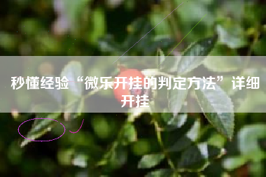 秒懂经验“微乐开挂的判定方法”详细开挂