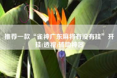 推荐一款“雀神广东麻将有没有挂”开挂(透视)辅助神器