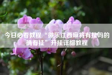 今日必看教程“微乐江西麻将有挂吗的确有挂	”开挂详细教程