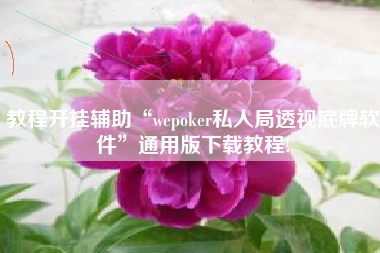 教程开挂辅助“wepoker私人局透视底牌软件”通用版下载教程!