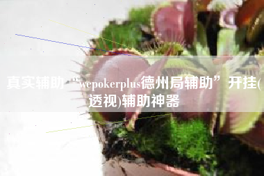 真实辅助“wepokerplus德州局辅助	”开挂(透视)辅助神器