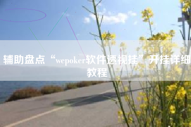 辅助盘点“wepoker软件透视挂	”开挂详细教程
