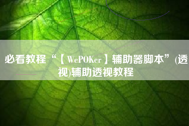 必看教程“【WePOKer】辅助器脚本	”(透视)辅助透视教程
