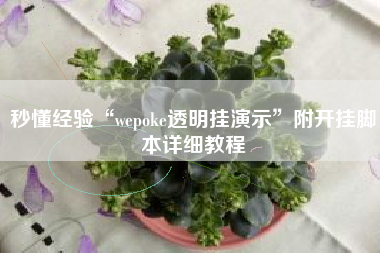 秒懂经验“wepoke透明挂演示	”附开挂脚本详细教程