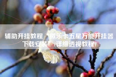 辅助开挂教程“微乐卡五星万能开挂器下载安装”(详细透视教程)