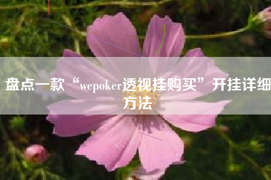 盘点一款“wepoker透视挂购买”开挂详细方法