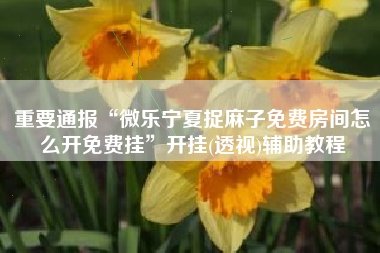 重要通报“微乐宁夏捉麻子免费房间怎么开免费挂	”开挂(透视)辅助教程