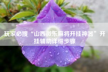 玩家必搜“山西微乐麻将开挂神器”开挂辅助详细步骤