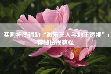 实测神器辅助“微乐三人斗地主透视	”(详细透视教程)