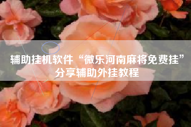 辅助挂机软件“微乐河南麻将免费挂”分享辅助外挂教程