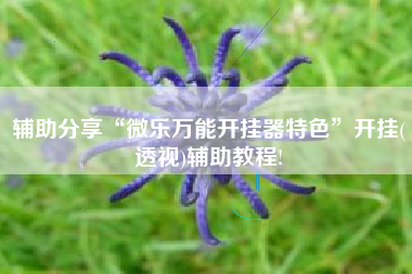 辅助分享“微乐万能开挂器特色”开挂(透视)辅助教程!