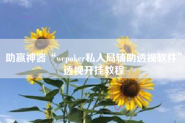 助赢神器“wepoker私人局辅助透视软件	”透视开挂教程
