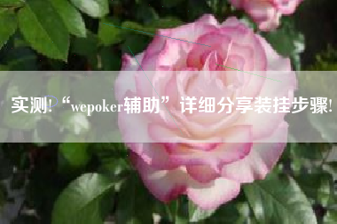 实测!“wepoker辅助”详细分享装挂步骤!
