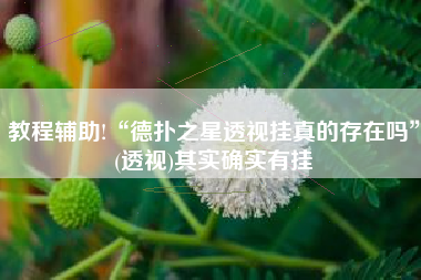 教程辅助!“德扑之星透视挂真的存在吗”(透视)其实确实有挂