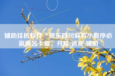 辅助挂机软件“微乐四川麻将小程序必赢神器卡盟”开挂(透视)辅助