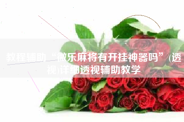 教程辅助“微乐麻将有开挂神器吗”(透视)详细透视辅助教学