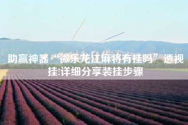 助赢神器“微乐龙江麻将有挂吗”透视挂!详细分享装挂步骤