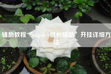 辅助教程“wepoker德州辅助”开挂详细方法