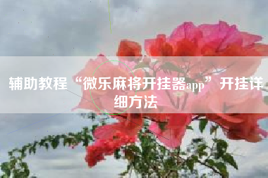 辅助教程“微乐麻将开挂器app”开挂详细方法