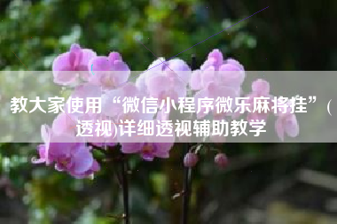 教大家使用“微信小程序微乐麻将挂”(透视)详细透视辅助教学