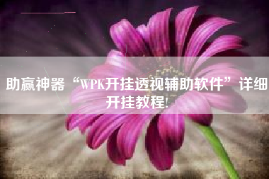 助赢神器“WPK开挂透视辅助软件	”详细开挂教程!